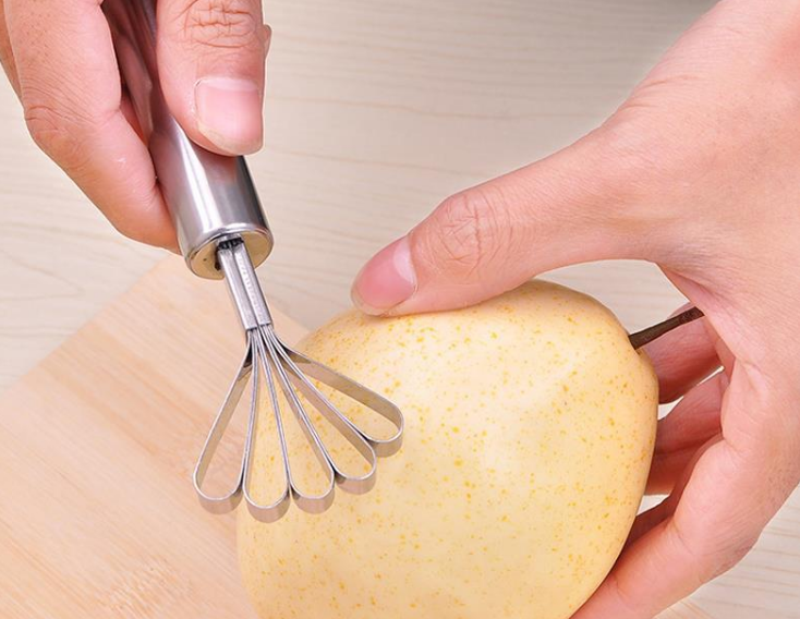 Stainless Steel Coconut and Fish Scales Peeler Tool