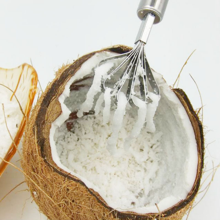 Stainless Steel Coconut and Fish Scales Peeler Tool