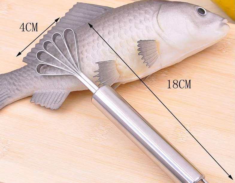 Stainless Steel Coconut and Fish Scales Peeler Tool